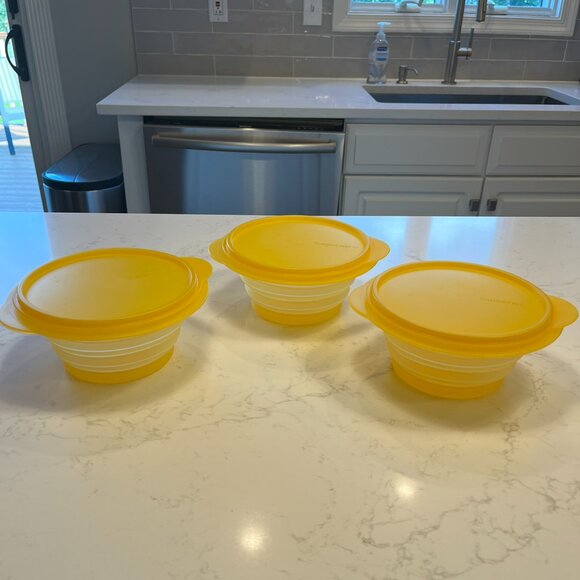 Never Used Tupperware Forget Me Not and Flat Out Lot - Picture 11 of 16